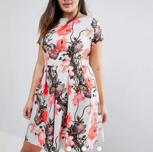 Floral Scuba Dress Size 16.